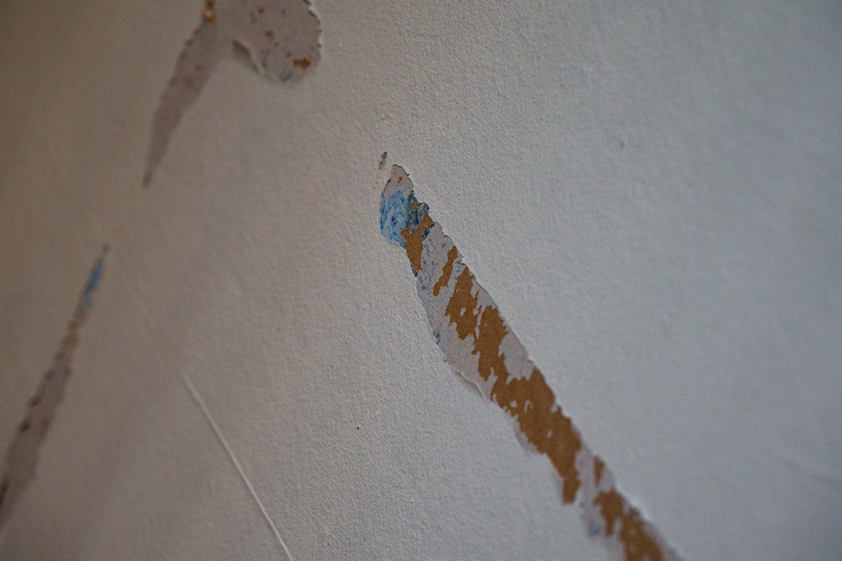 Sewage Cleanup service in Camarillo, CA